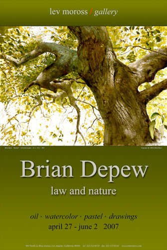 Law and Nature
